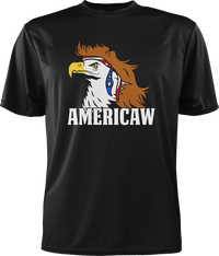 Thumbnail for Americaw - Greater Half